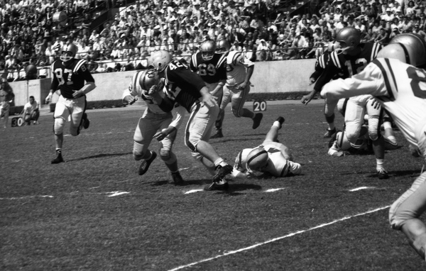 FSU "Garnet and Gold" spring football game in Tallahassee.