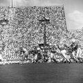 FSU QB #16 Gary Pajcic running with the football during game against UF in Tallahassee.