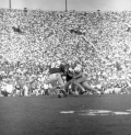 FSU QB #16 Gary Pajcic running with the football during game against UF in Tallahassee.