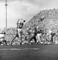 FSU QB #16 Gary Pajcic throwing the football during game in Tallahassee against UF.