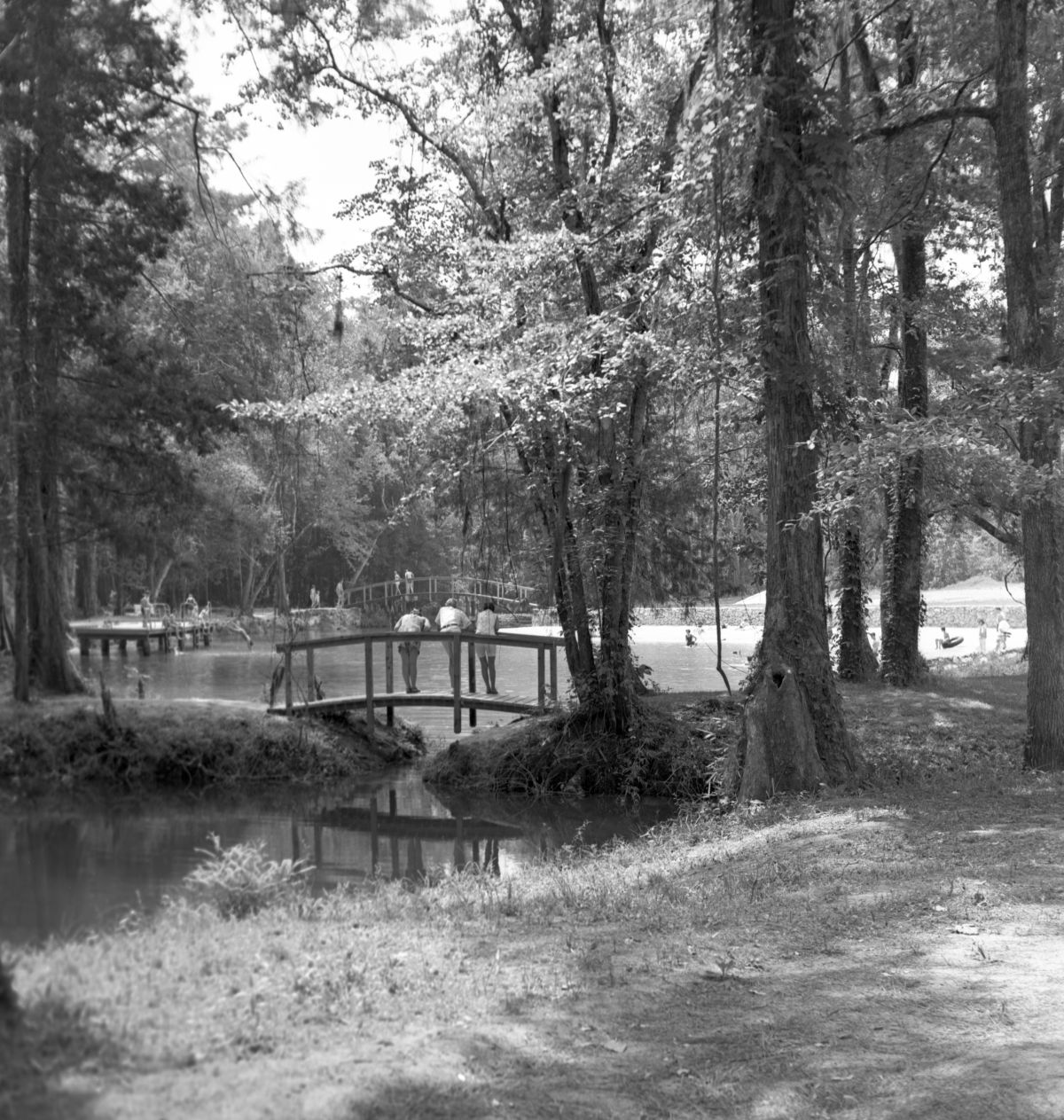 Blue Hole Spring swimming area at Florida Caverns State Park in Marianna.