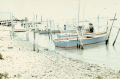 Close-up view showing oyster boats docked at the fishing village of Eastpoint near Apalachicola, Florida.