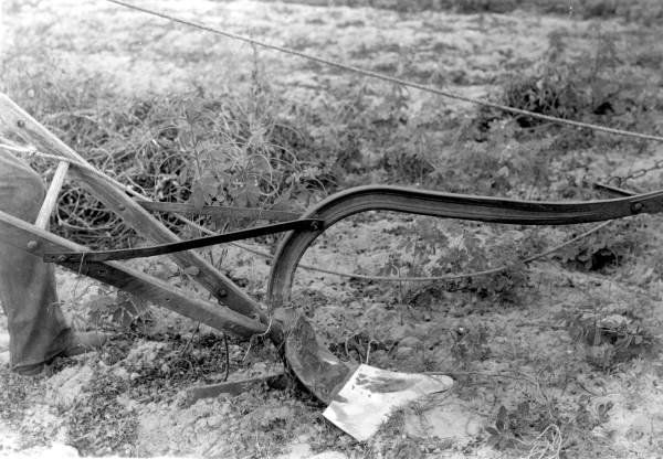 Plowing in a field