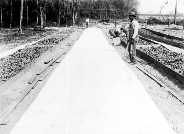 Florida Memory • Man tending tobacco plant beds
