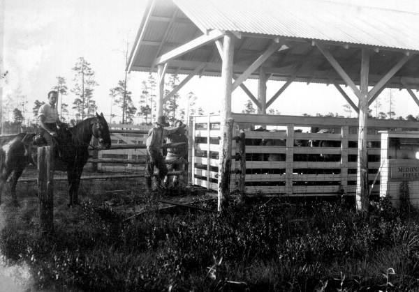 Cattle scales used at Penney Farms (1931).