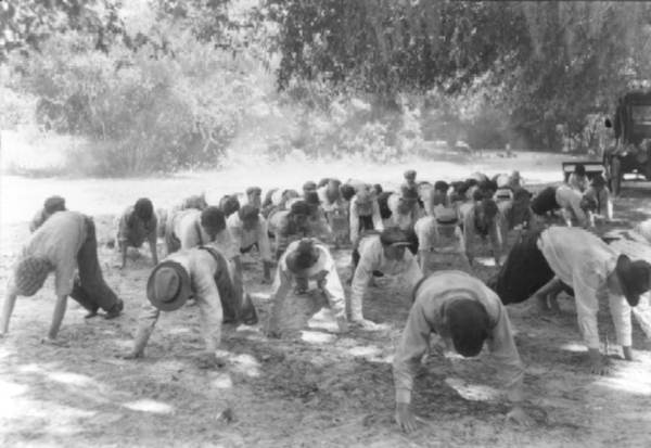 Boys doing pushups at the Columbia County camp - Ichetucknee Spring