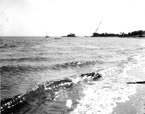 Shoreline leading to the oyster house - Baycroft, Eastpoint, Florida.