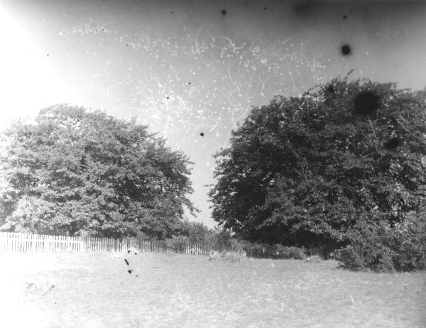 Large shade trees and picket fence