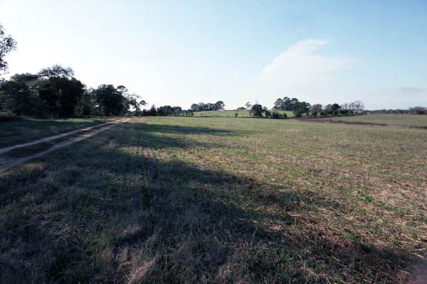 View showing Wayne Mixson's farm in Campbellton, Florida.