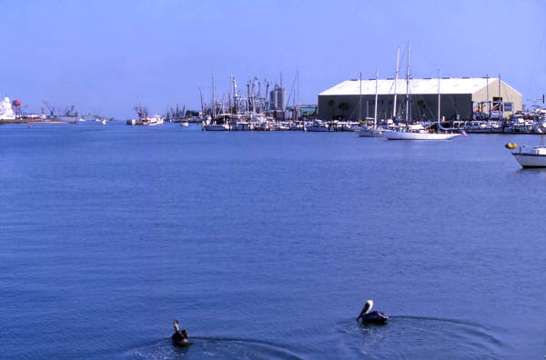 View looking toward docks at Port Canaveral, Florida.