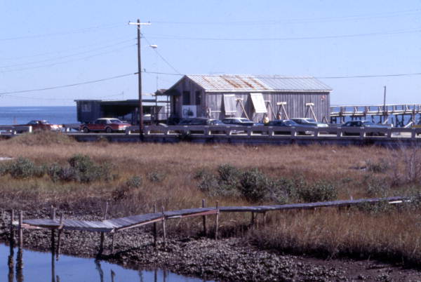 View showing The Cedars cocktail lounge in Cedar Key, Florida.