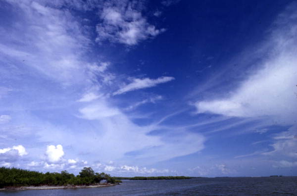 Scenic view of the water at Everglades City, Florida.