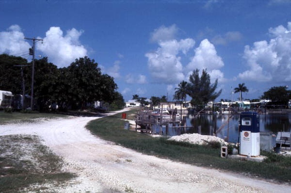 View showing a road next to the river in Everglades City, Florida.