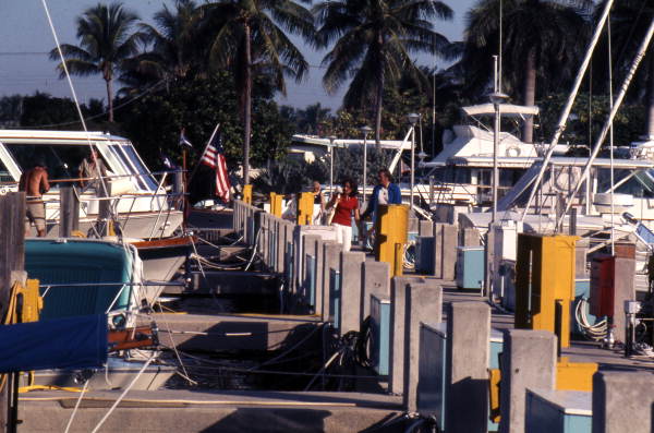Close-up view of a dock in the Florida Everglades.
