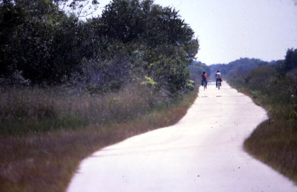 Trail at Shark Valley in the Everglades National Park.