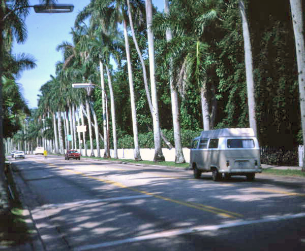 McGregor Boulevard lined with palm trees in Ft. Myers.