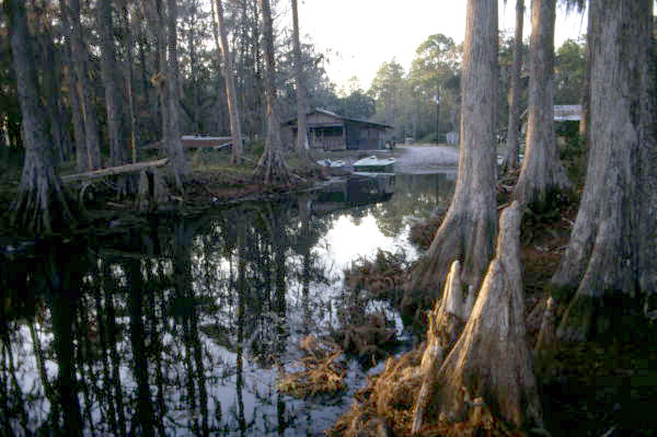 Carraway Fish Camp on Lake Lochloosa in Alachua County.