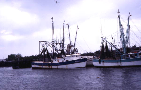 Close-up view of shrimp fleet docked at the fishing village of Mayport.
