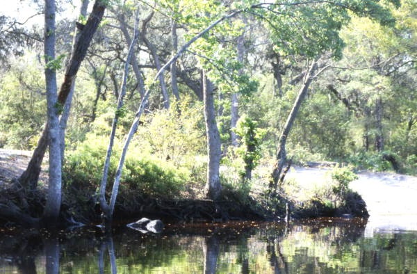 Scenic view along the Ortega River in Jacksonville.