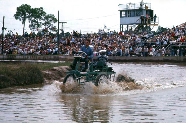 "Horny Toad" at Swamp Buggy Day in Naples.