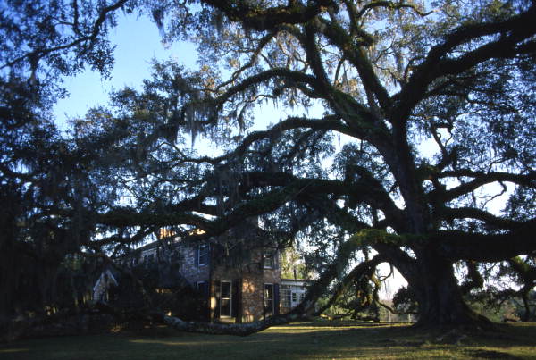 Kinhega Lodge in Tallahassee.