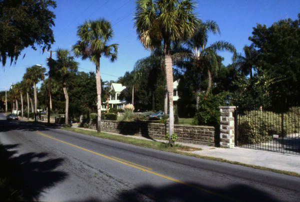 Palm-lined neighborhood along Spring Blvd. in Tarpon Springs.