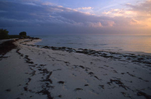 Beach at Pigeon Key.