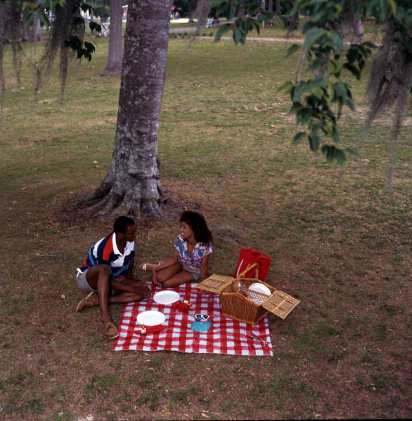 Couple having a picnic.