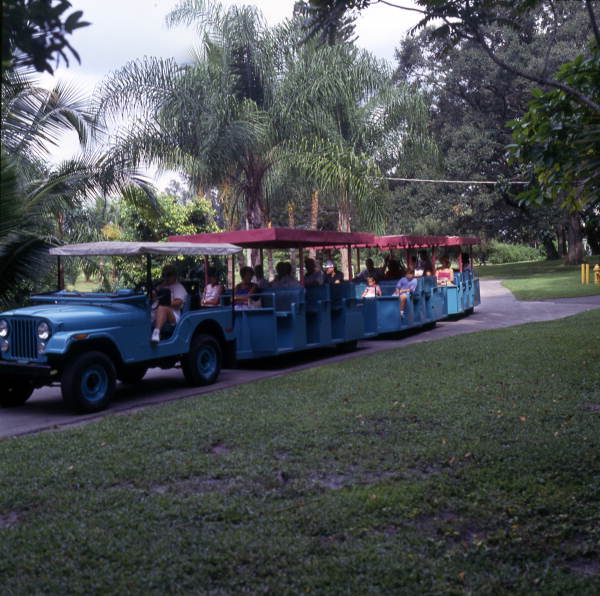 Jeep towing a passenger vehicle at the Flamingo Gardens botanical garden in Davie, Florida.