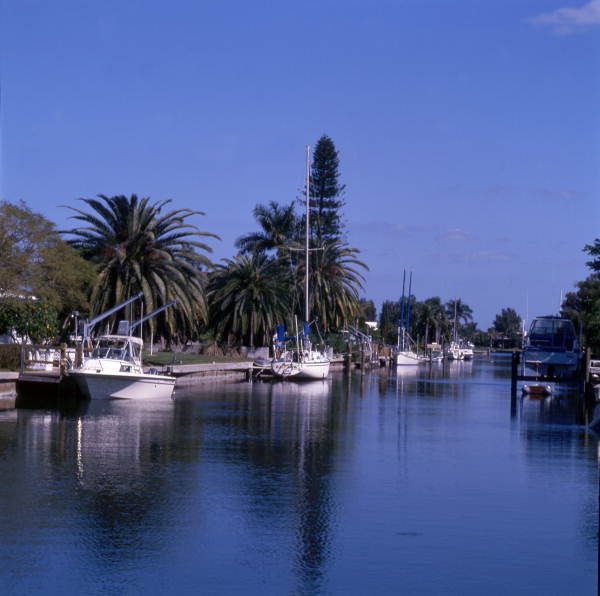 View showing boats in Sarasota, Florida.