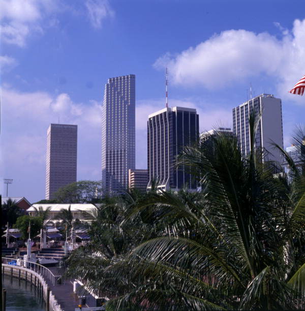 View showing the Miami skyline above treetops at Bayfront Park.