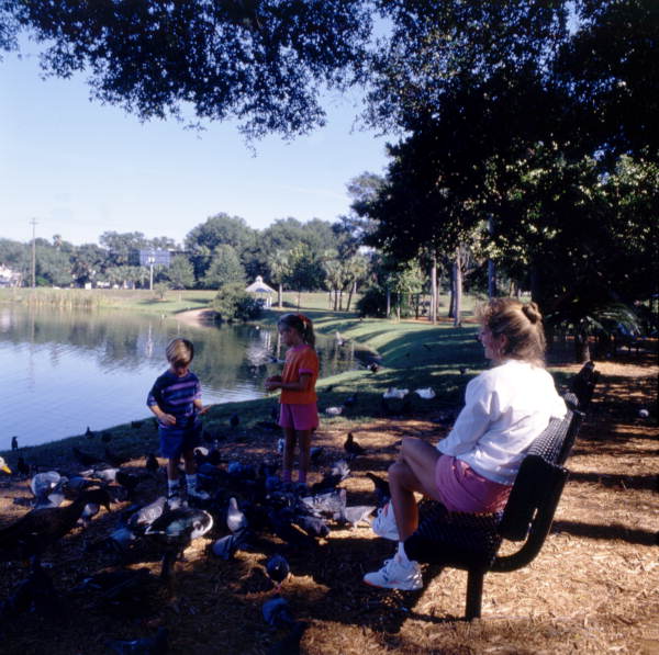 Children with their mother feeding pigeons and ducks in Maitland, Florida.