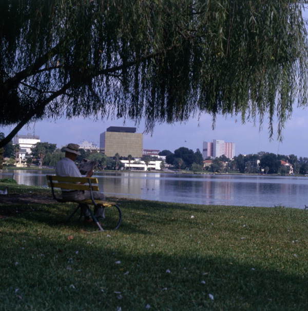 View looking toward the Lakeland skyline across Lake Morton.