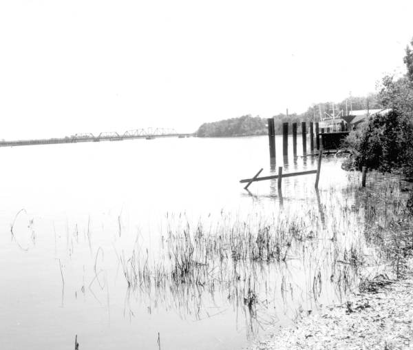 Bridge over the Apalachicola River from a distance