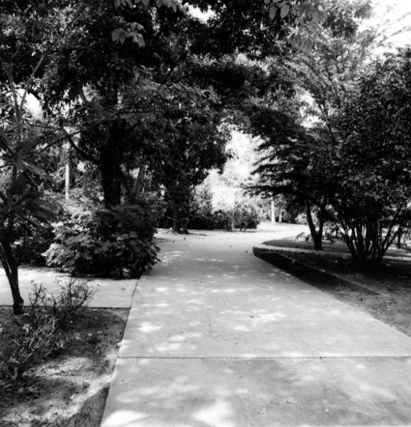 Garden walk - Fort Myers, Florida