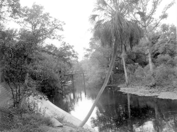 View of the Hillsborough River - Thonotosassa, Florida