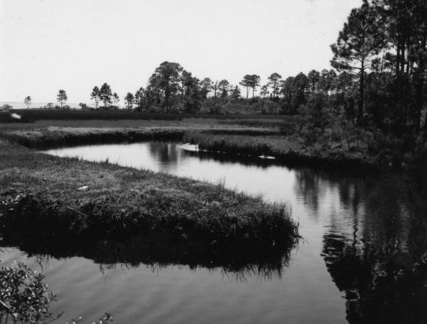 View of Yent Bayou in Winter Haven.
