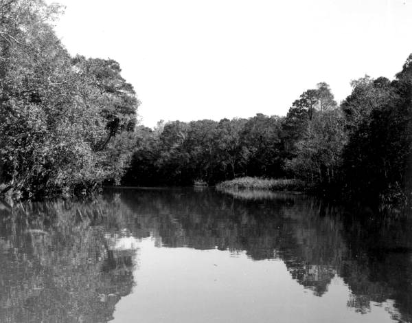 Apalachicola river.