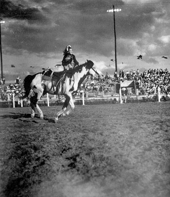 Florida Memory • Shirley Gatewood performs in the rodeo with her horse ...