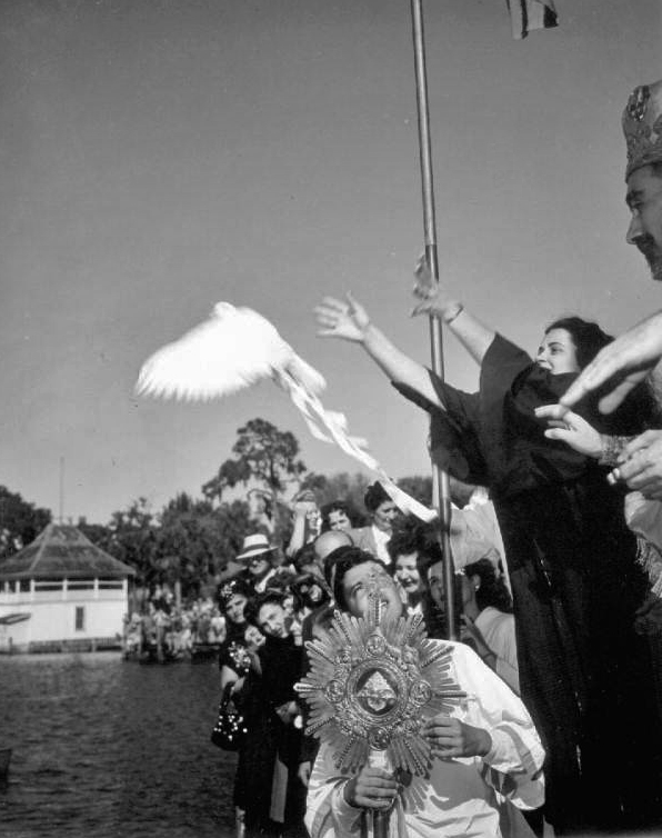 Releasing of the dove at Tarpon Springs' Epiphany celebration - Tarpon Springs, Florida