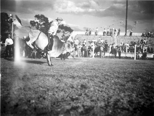 Buck Dowell attempts to ride a Brahman bull - Lakeland, Florida