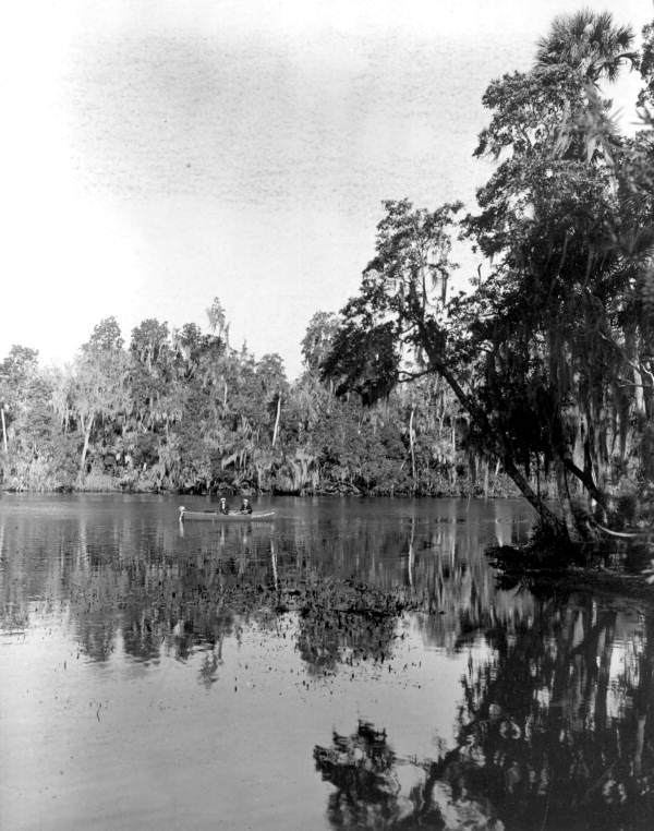 View of the Homosassa River - Homosassa Springs, Florida