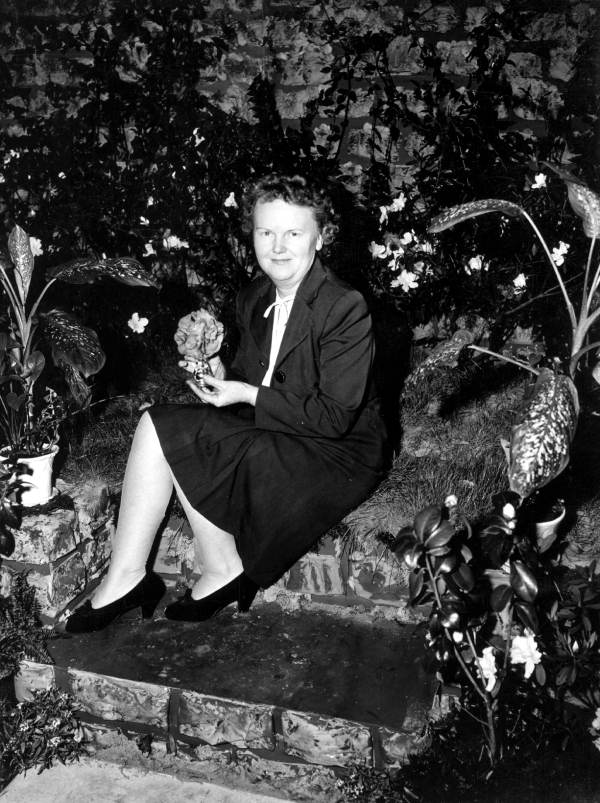 Mrs. C.A. Henley holds the goldstar camellia in simulated garden - Jacksonville, Florida.
