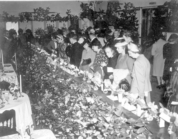 Spectators examining the single blooms on display at the camellia show - Jacksonville, Florida.