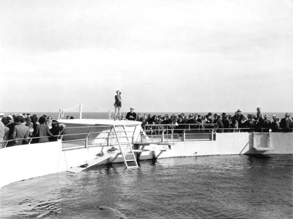 Miami fashion council at Marine Studios - Marineland, Florida