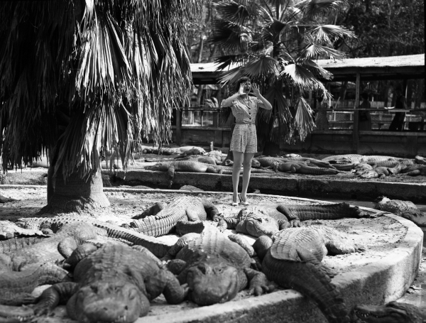 Woman playacting with alligators.