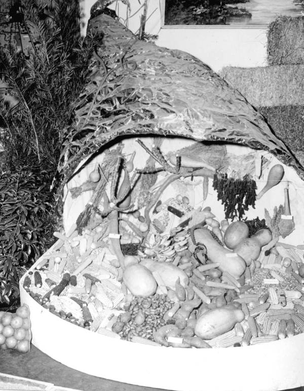 Produce exhibit at the Florida State Fair - Tampa, Florida