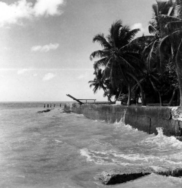 Sea-wall in Key West.