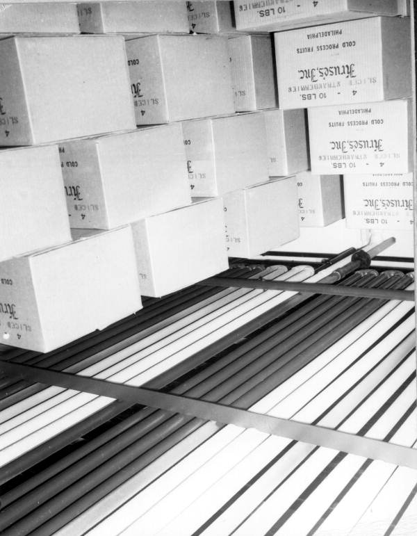 Packaged strawberries - Plant City, Florida