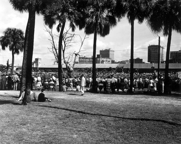 Crowd gathered for the Gasparilla festival parade - Tampa, Florida.